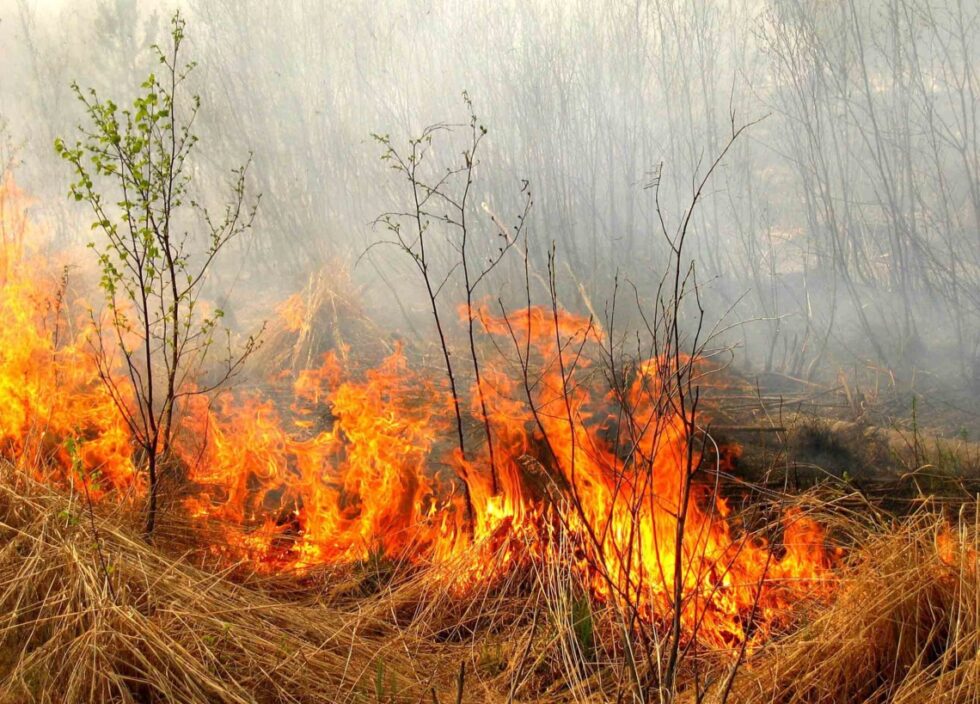 Стовпчики термометрів піднімуться до +27°: на вихідних на Сумщині прогнозують пожежну небезпеку