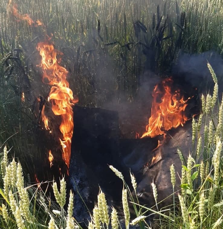 На Сумщині бійці 5 прикордонного загону «приземлили» 40 російських БпЛА + Фото