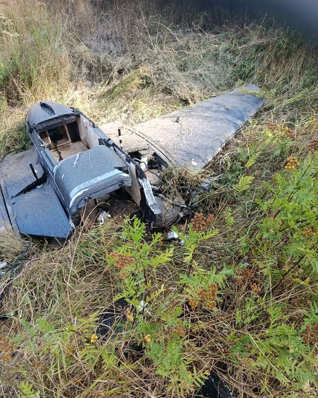 Прикордонники Сумщини знищили понад сім десятків ворожих БпЛА + Фото