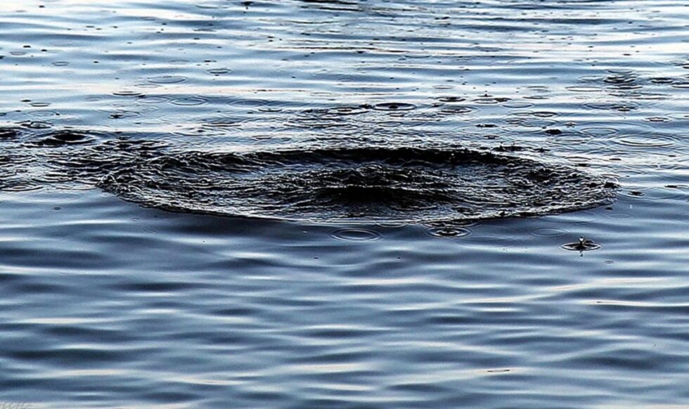 Ввечері у сусідньому районі сталася трагедія на водоймі